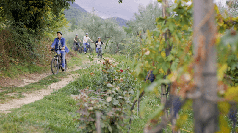 campagna amica