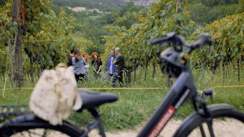 campagna amica